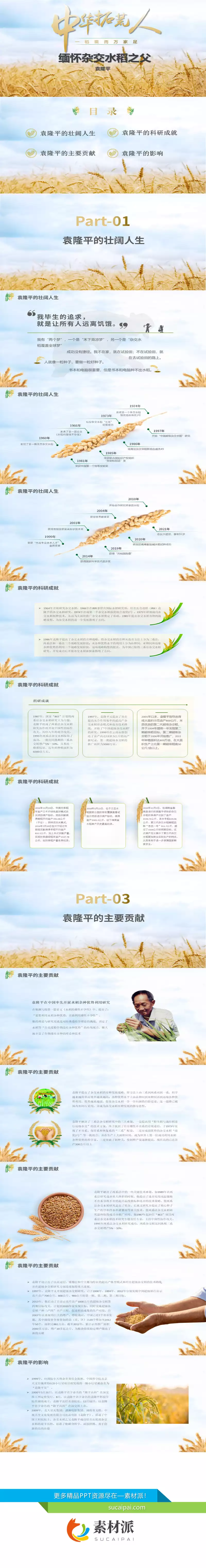 缅怀杂交水稻之父袁隆平PPT模板 - 第一PPT1