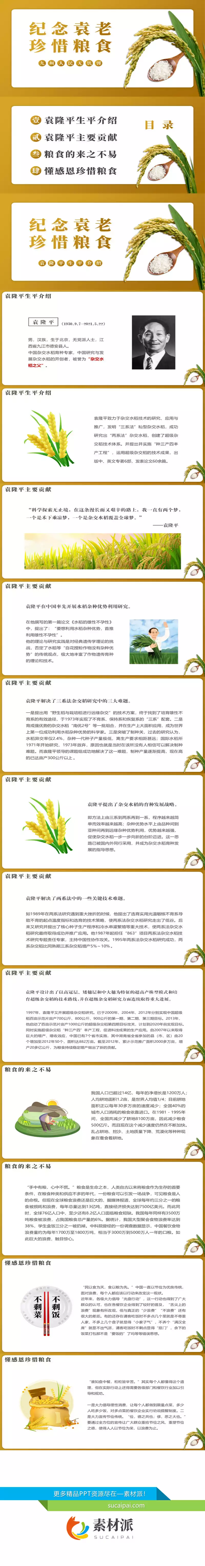 纪念袁隆平珍惜粮食PPT模板 - 第一PPT1