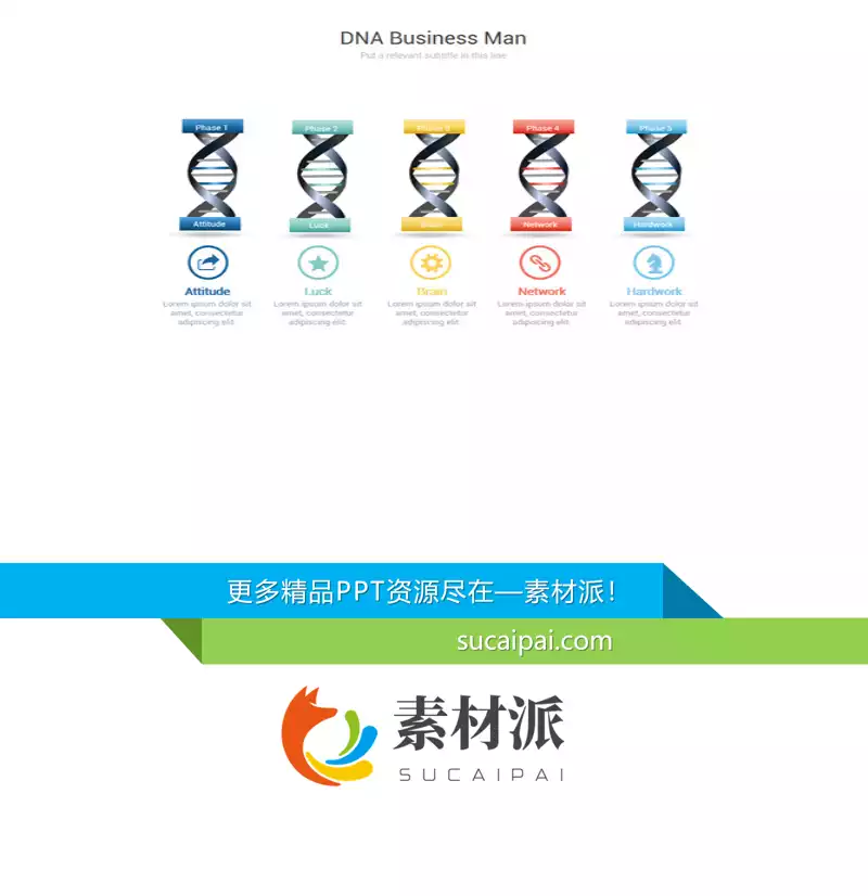 DNA双螺旋结构PPT图形模板 - 第一PPT1