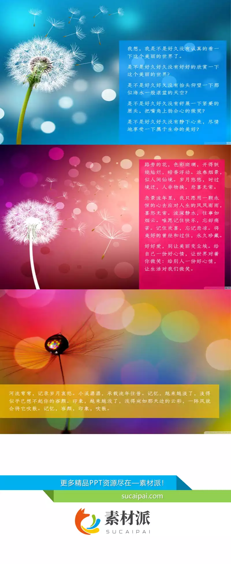唯美蒲公英PPT背景图片 - 第一PPT1