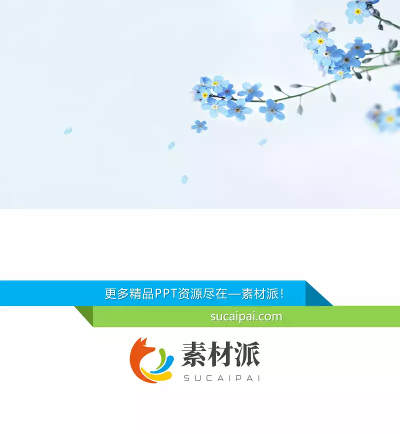 唯美蓝色小花PPT背景图片 - 第一PPT1