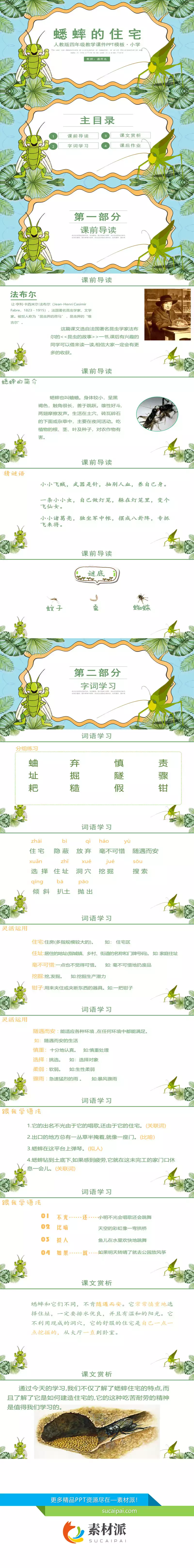 蟋蟀的住宅PPT课件1 - 第一PPT1